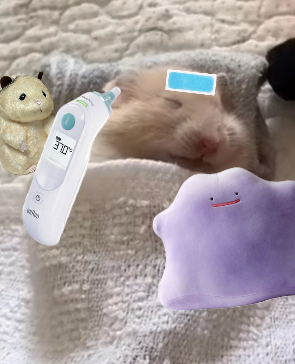 한빈이 푹 자세용…🥺