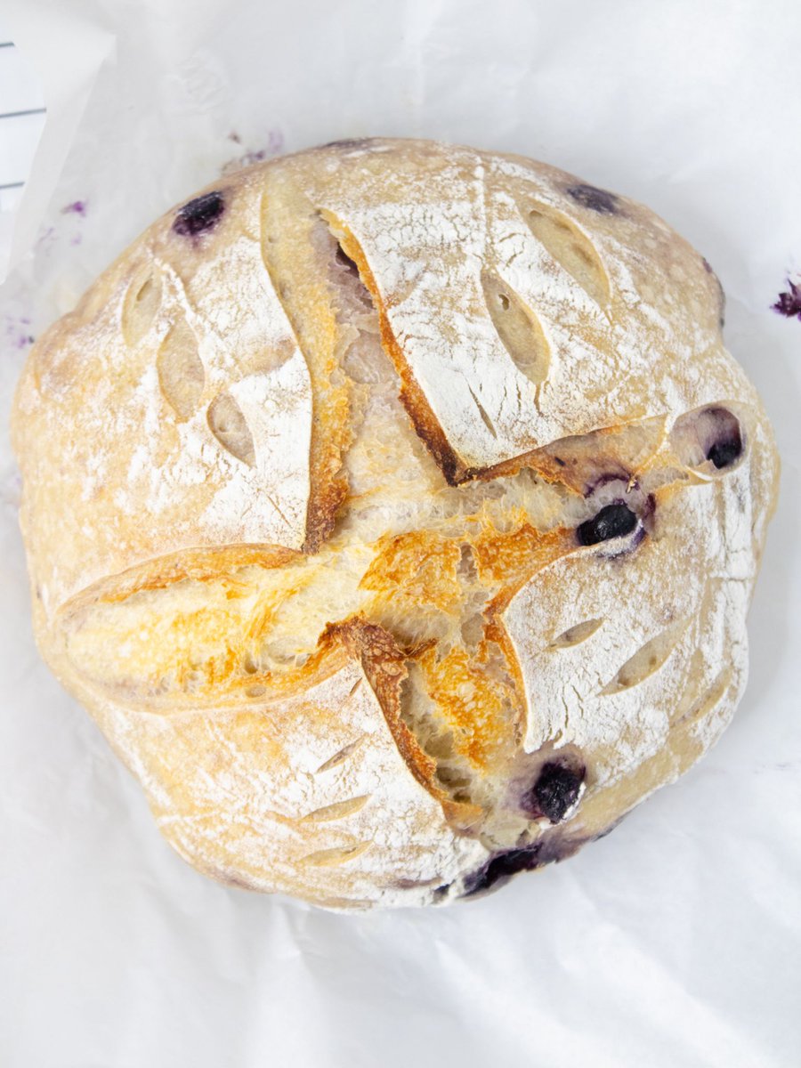 Kelly's Thoughts On Things tweet media