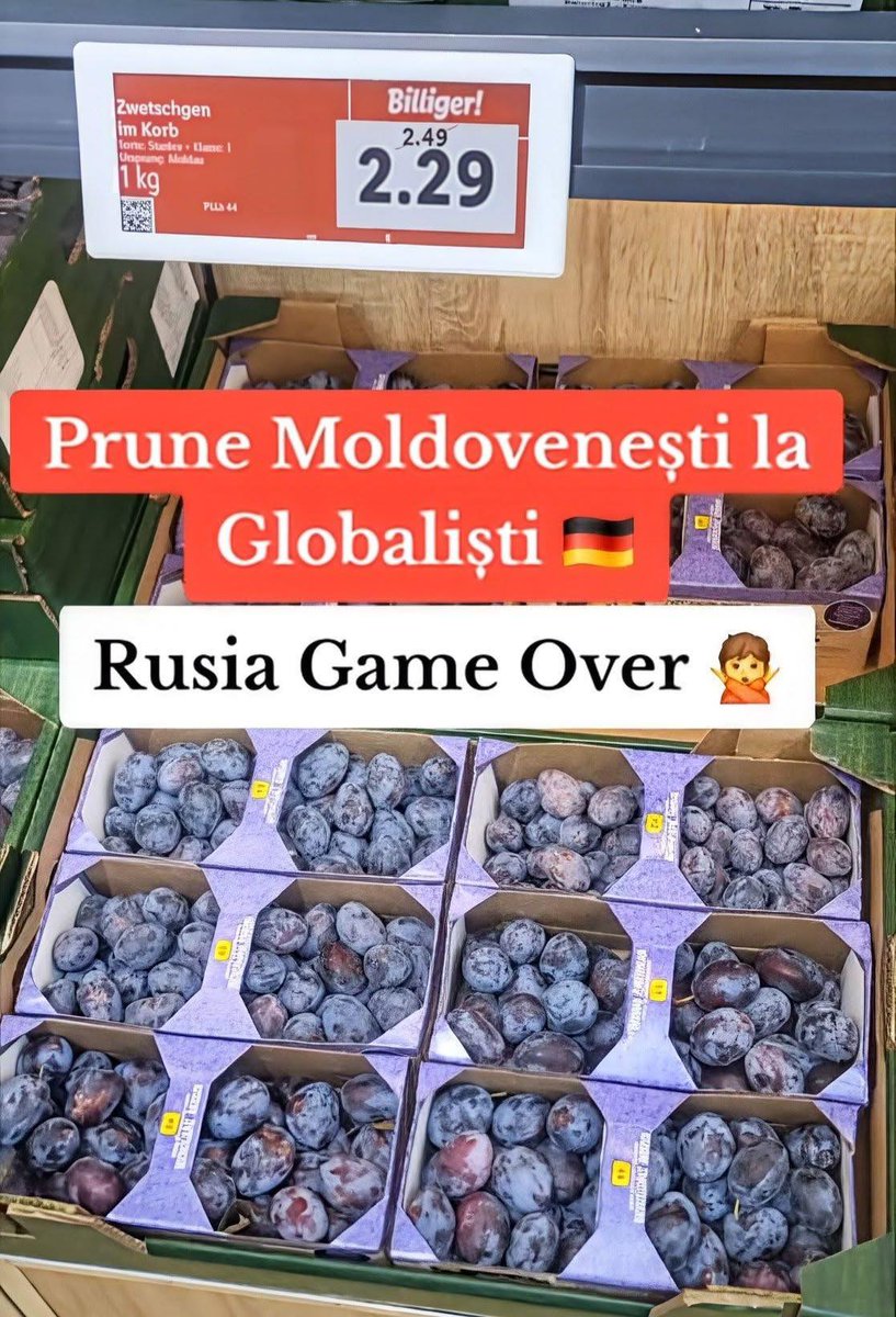 CrisCiobanu1's tweet photo. Atâtea poze cu prune moldovenești prin Europa, că mă tem că kuliokarii o să facă alergie de la... perje.
Europa exportă democrație, noi — vitamine. 😎🍇 #PerjePower #MadeInMoldova https://t.co/7vtN0OtIMV