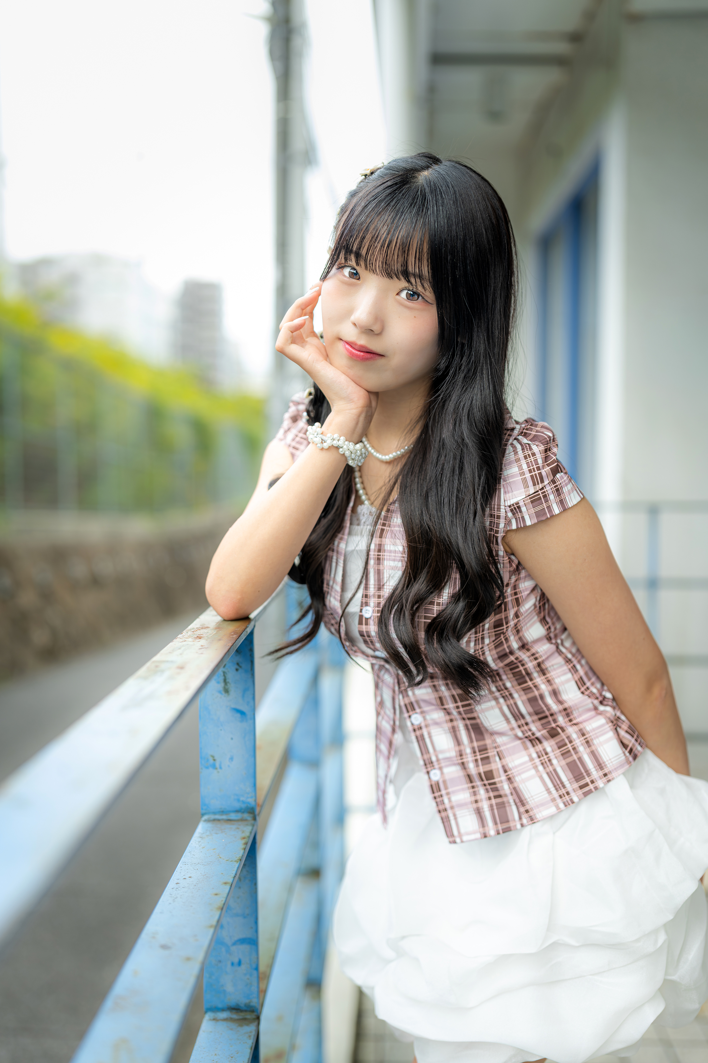 その他 Baimei Shin-ei Companion FY-2 Fuzz Box