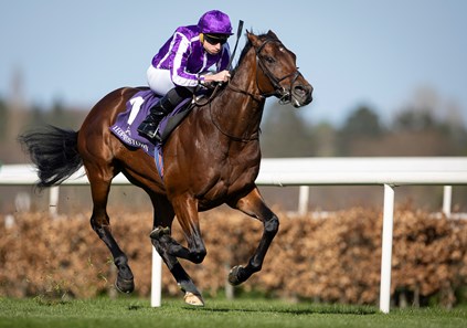 HORSERACING1002's tweet image. DELACROIX🇮🇪2022
(DUBAWI  ▪︎ TEPIN BY BERNSTEIN)
#Delacroix
B/ Tepin Syndicate 🇮🇪April 2, 2022
O/ Coolmore Stud 
T/ Aidan O'Brien 
12-6-4-0----$2,356,839
Autumn S  G3, Ballysax S G3, Derby Trial S G3, Eclipse S G1, Irish Champion S G1,  
2nd Futurity Trophy G1, International S