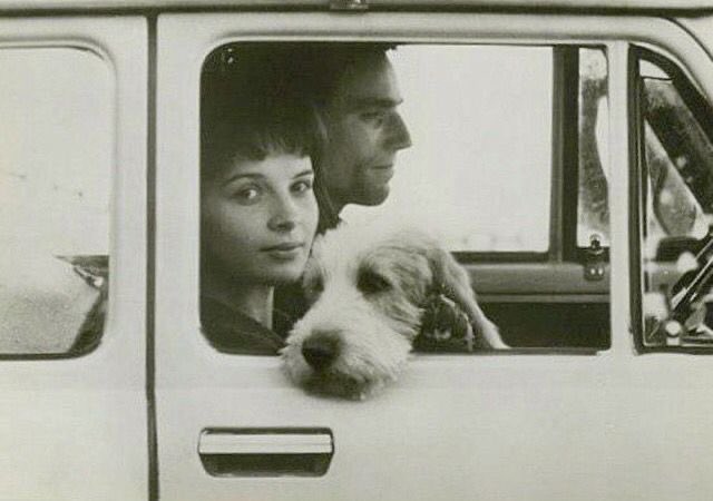 The Unbearable Lightness of Being

Philip Kaufman
1988