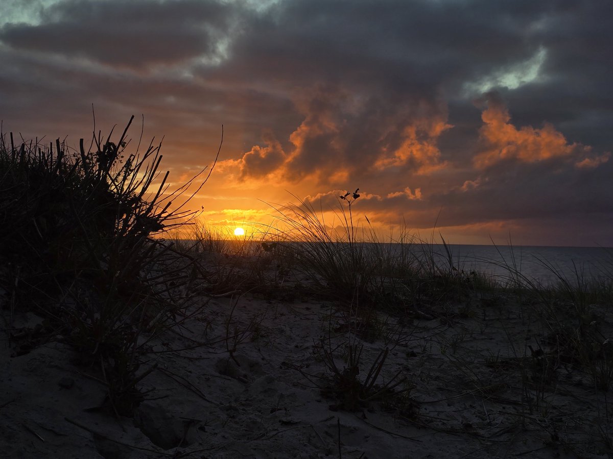 Only two routes to go,than Level 72 is done.
Prepering for Lvl 73 done 
5 days in row i also had an amazing sunrise 
#PokemonGOApp