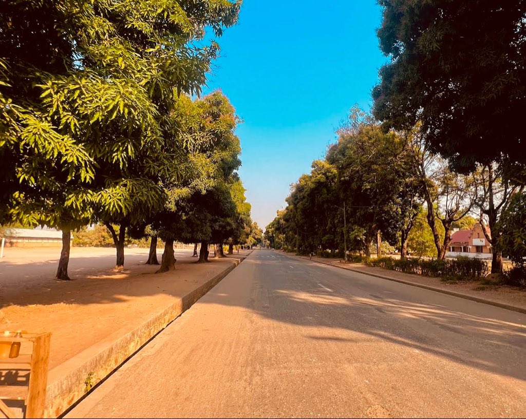 benjimk's tweet image. Je l'affirme : Manono sera le prochain Kolwezi d'ici quelques années.
Le gisement de lithium est l'un des plus grands au monde, et l'activité attire de plus en plus :
✈️ Trafic aérien régulier Lubumbashi-Manono : J'ai vu plus d'étrangers embarquer pour Manono que pour Kalemie…