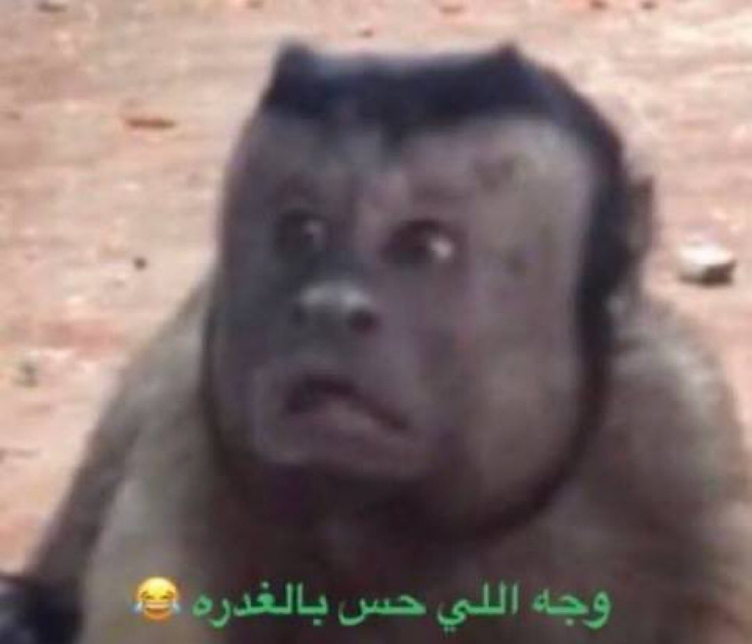أنت بعد ماضبط السناب شات و راحت الستريكات