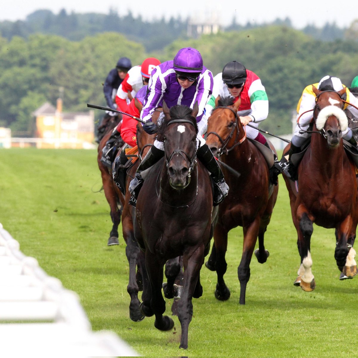 HORSERACING1002's tweet photo. SO YOU THINK 🇳🇿 2006
(HIGH CHAPARRAL- TRIASSIC BY THIGHTS)
#SoYouThink
2006-2025 https://t.co/TgNaxd7r4F