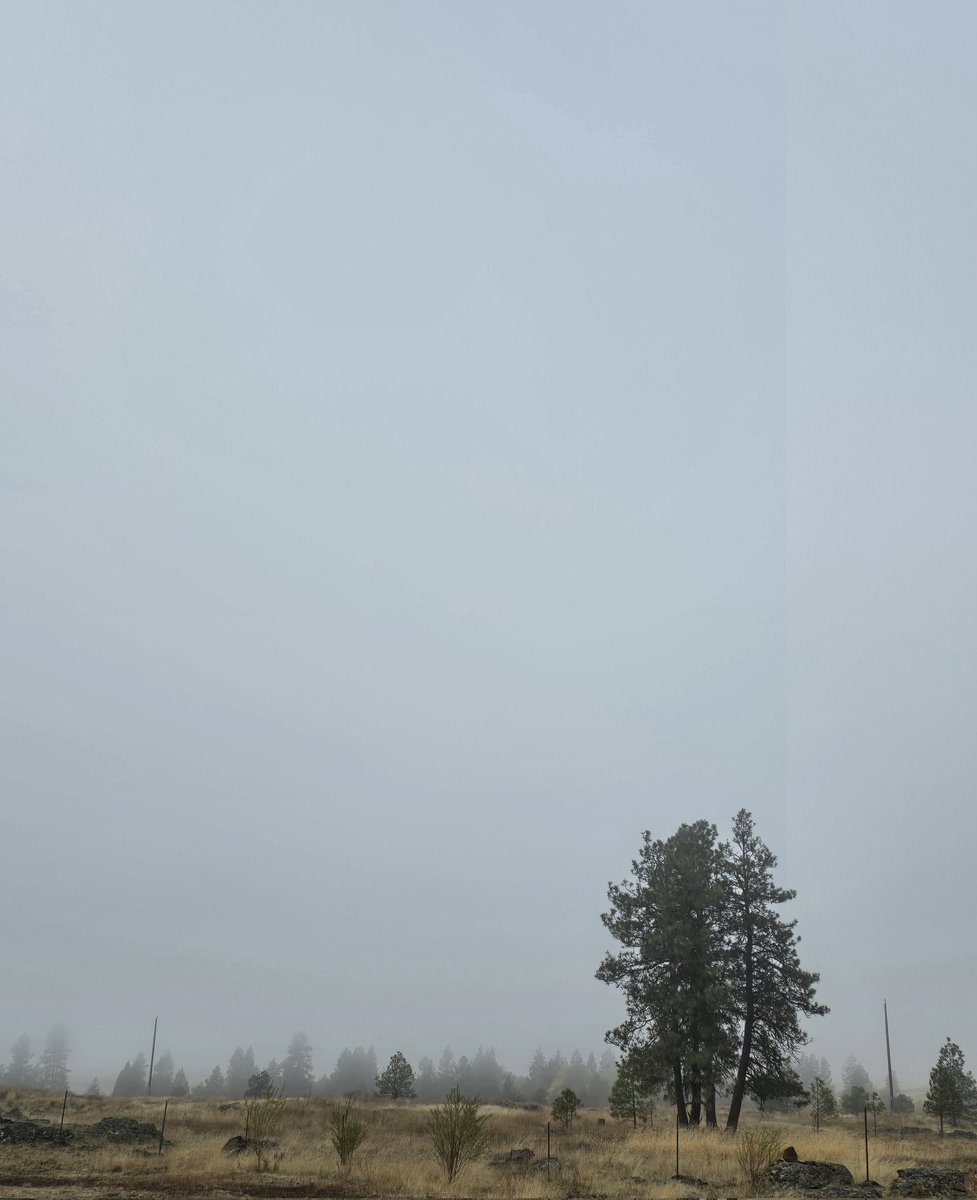 Weather's in again cold gray and misty. I hope you all have a wonderful day.