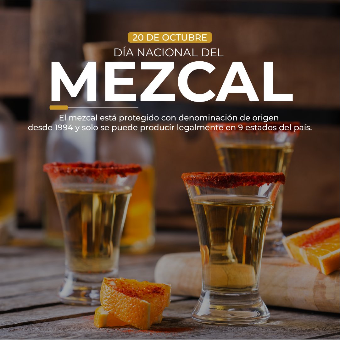 webcamsdemexico's tweet photo. ¡Salud por México! 🇲🇽 Hoy, #20De=ctubre, celebramos el Día Nacional del Mezcal, y no hay mejor manera de hacerlo que con un par de "caballitos" listos para degustar✨🍊🥃
¿Sabías que este destilado ancestral está protegido con Denominación de Origen (DO) desde 1994 y solo puede producirse legalmente en ciertas regiones de 9 estados de nuestro país, como Oaxaca, Durango, Guerrero, Puebla, San Luis Potosí y Zacatecas?
Esto asegura la calidad y el proceso artesanal que lo convierte en un elixir con notas ahumadas únicas.
Si viajas por estos hermosos estados, no olvides visitar un palenque o mezcalera para conocer de cerca su proceso milenario.
¡Es una experiencia turística y cultural imperdible que apoya a miles de familias productoras! 👨🌾🍶
Para todo mal, mezcal, y para todo bien, ¡también! 😉
¡Dinos en los comentarios cuál es tu mezcal favorito o de qué estado es el mejor para ti!
¡Danos RT para que más gente celebre esta tradición! 👇
#DíaNacionalDelMezcal #Mezcal #México #DíaDelMezcal