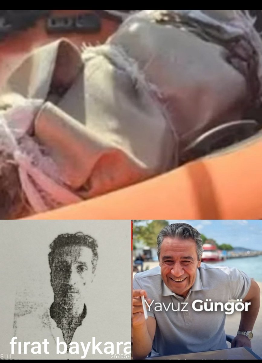 Katledilip işkence edilen zincire vurulup halıya saran batsın diye üzerine ağırlık bağlanan benim evladım katleden ise suç makinası olan uyuşturucu baronu olan bu çete ilk cinayeti deyil onca suç işleyen cezaevi firarisi olmasaydı benim evladım hayatta olacaktı