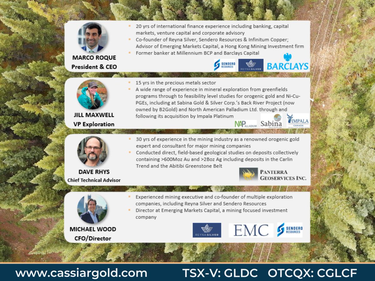 Cassiar Gold Corp. tweet media