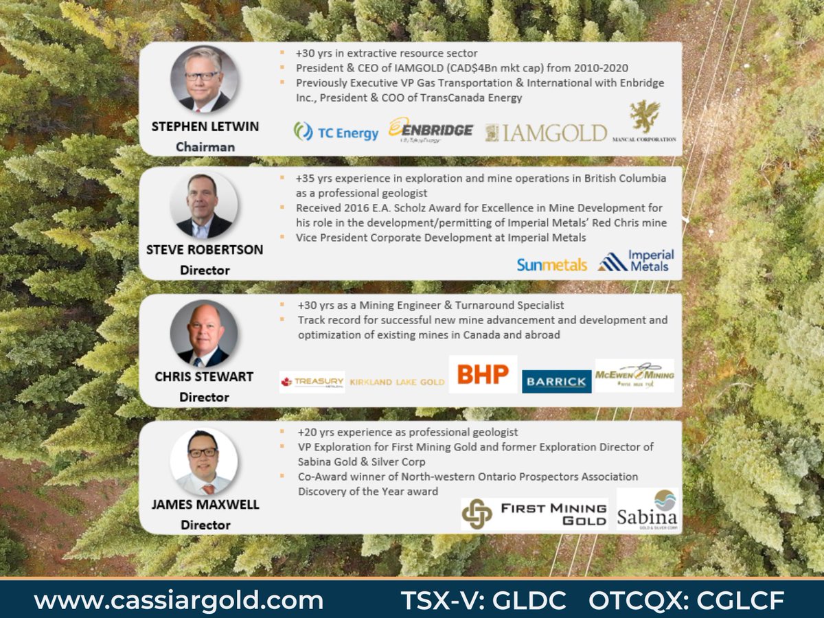 Cassiar Gold Corp. tweet media