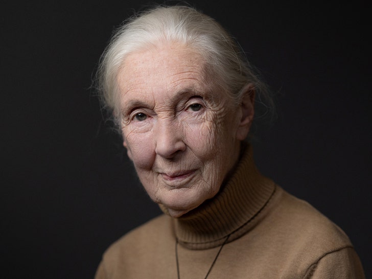 TMZ's tweet image. #EXCLUSIVE ๐จ Jane Goodall's cause of death has been revealed. tmz.me/7J1q5Pz