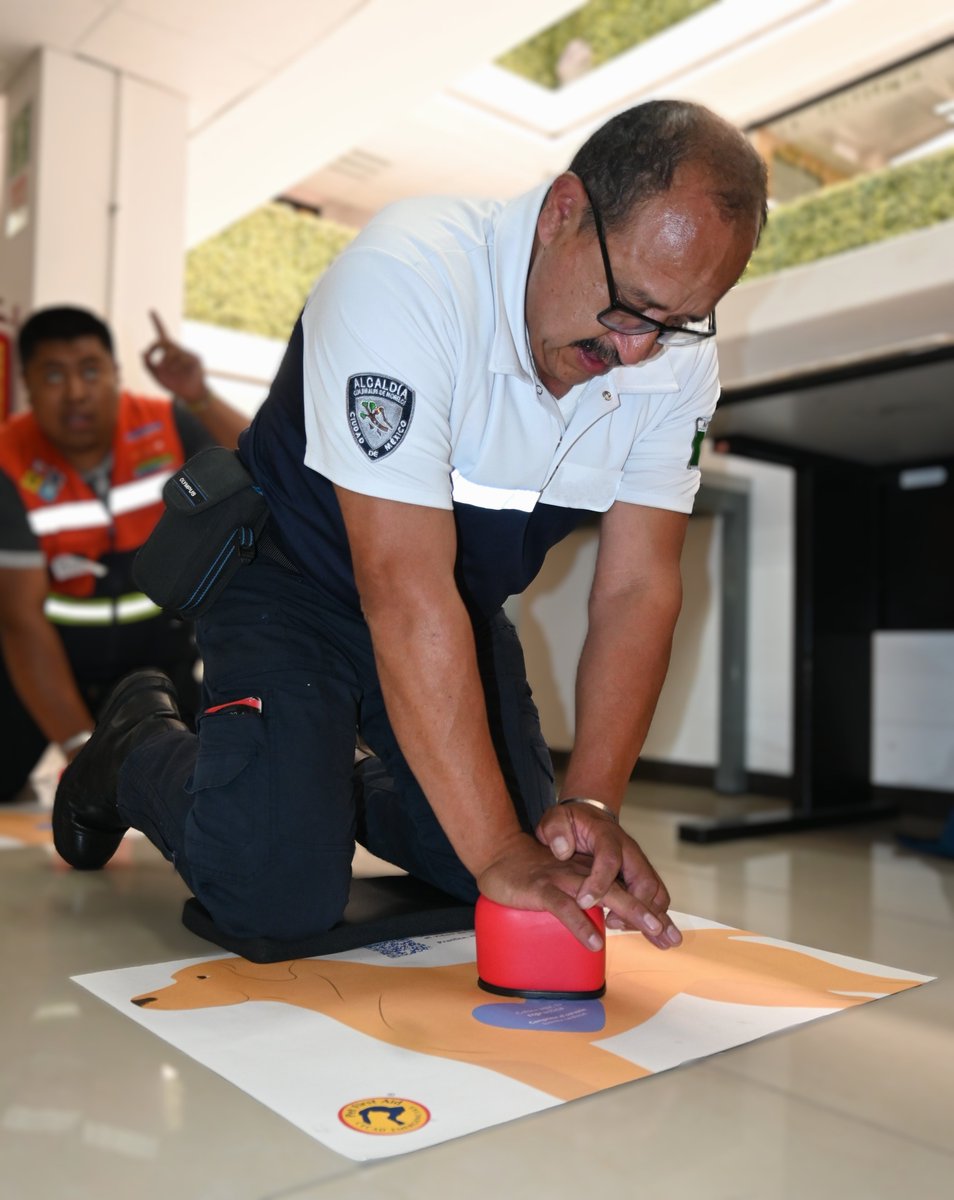 Pronto daremos a conocer la nueva convocatoria de #MasterClass de #PrimerosAuxilios para #Mascotas ¡El último entrenamiento del año, no te lo pierdas! 🐾