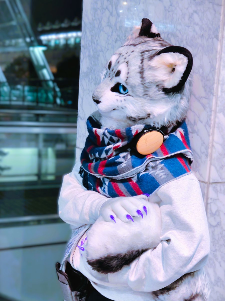 SRS_snowrice's tweet image. Marbleの街
#FursuitEveryday
