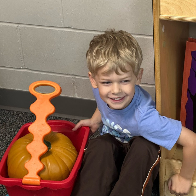 Solon CSD tweet media