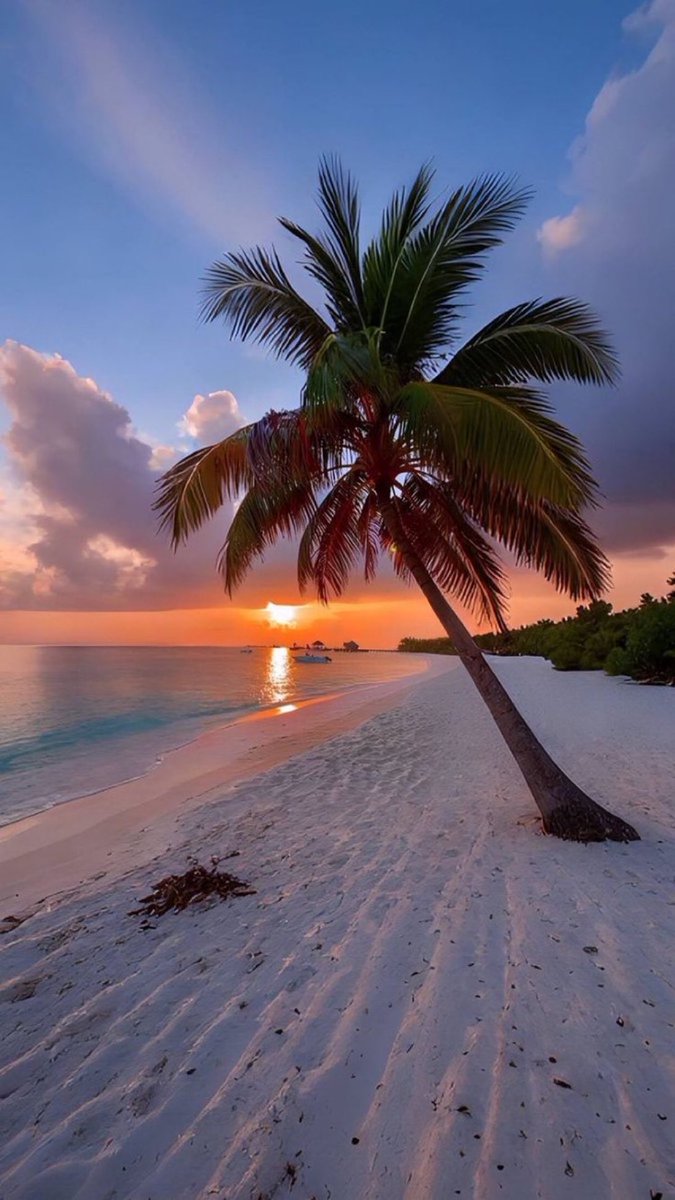 Tramonto dell'oceano 🌅