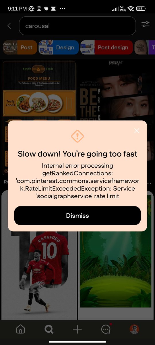 When you go crazy on Pinterest so much that you've hit it's rate limit , touch grass guys

(Btw I know it's cause of the AWS issues but I thought it'd be funny)