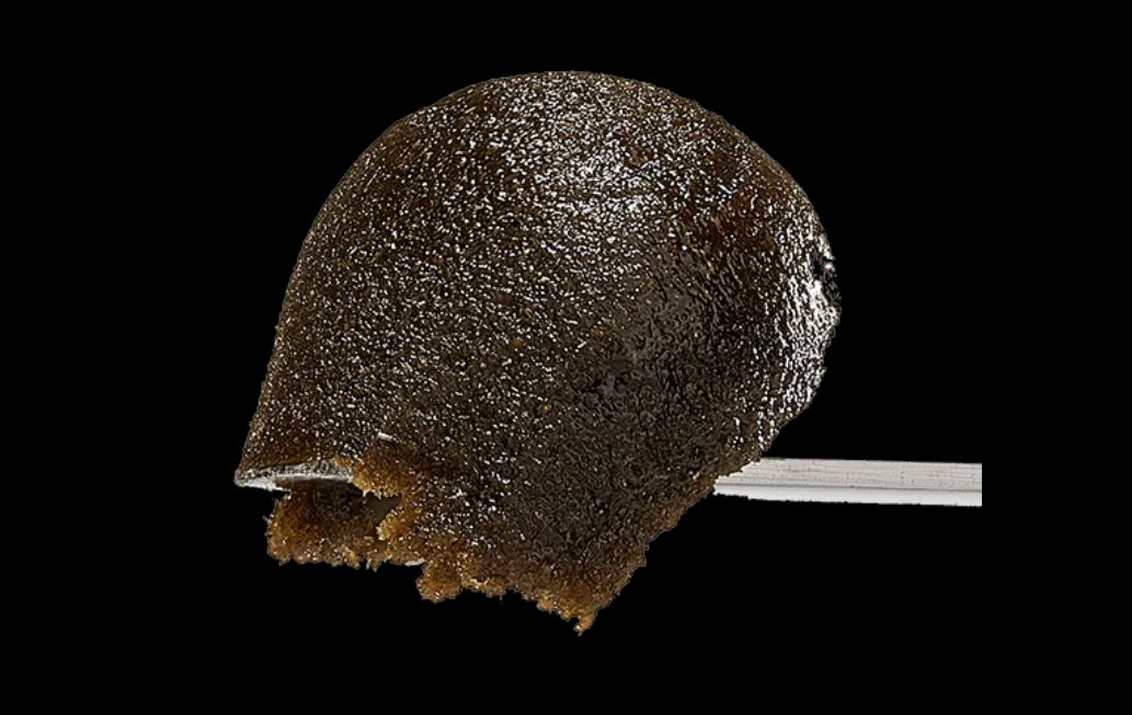 paradisethc's tweet image. Here is close up photo of our Afghan Hash🤤