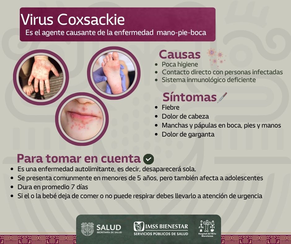 🦠El virus de Coxsackie, agente causante de la enfermedad conocida como "Mano- pie- boca", se presenta comúnmente en bebés y en infantes.
🤚🏻Para evitar el contagio es importante identificar sus causas y tomar medidas preventivas.