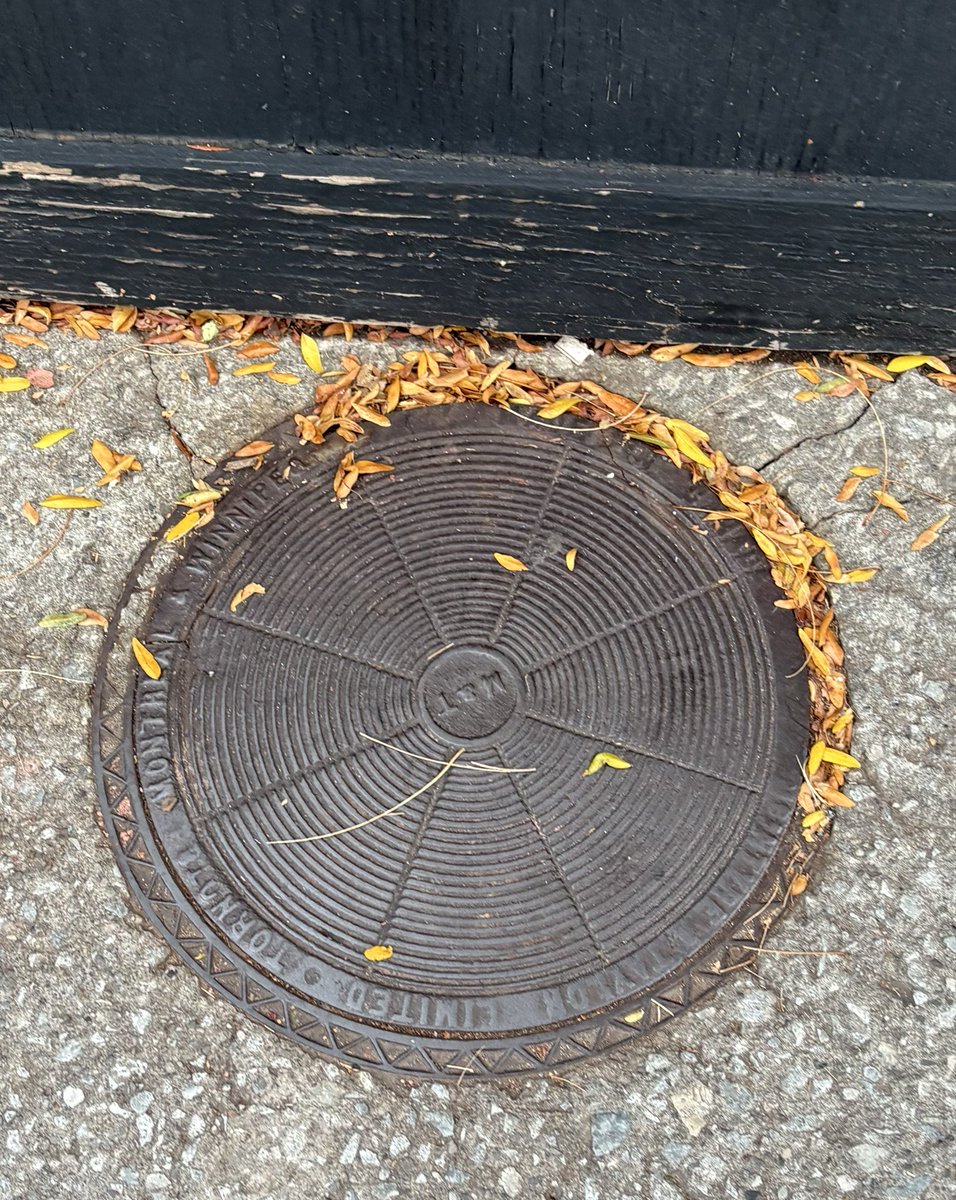 One of the lovely McIntyre &amp; Taylor covers that misspells Toronto as Tornoto. 

Queen St W, near Manning