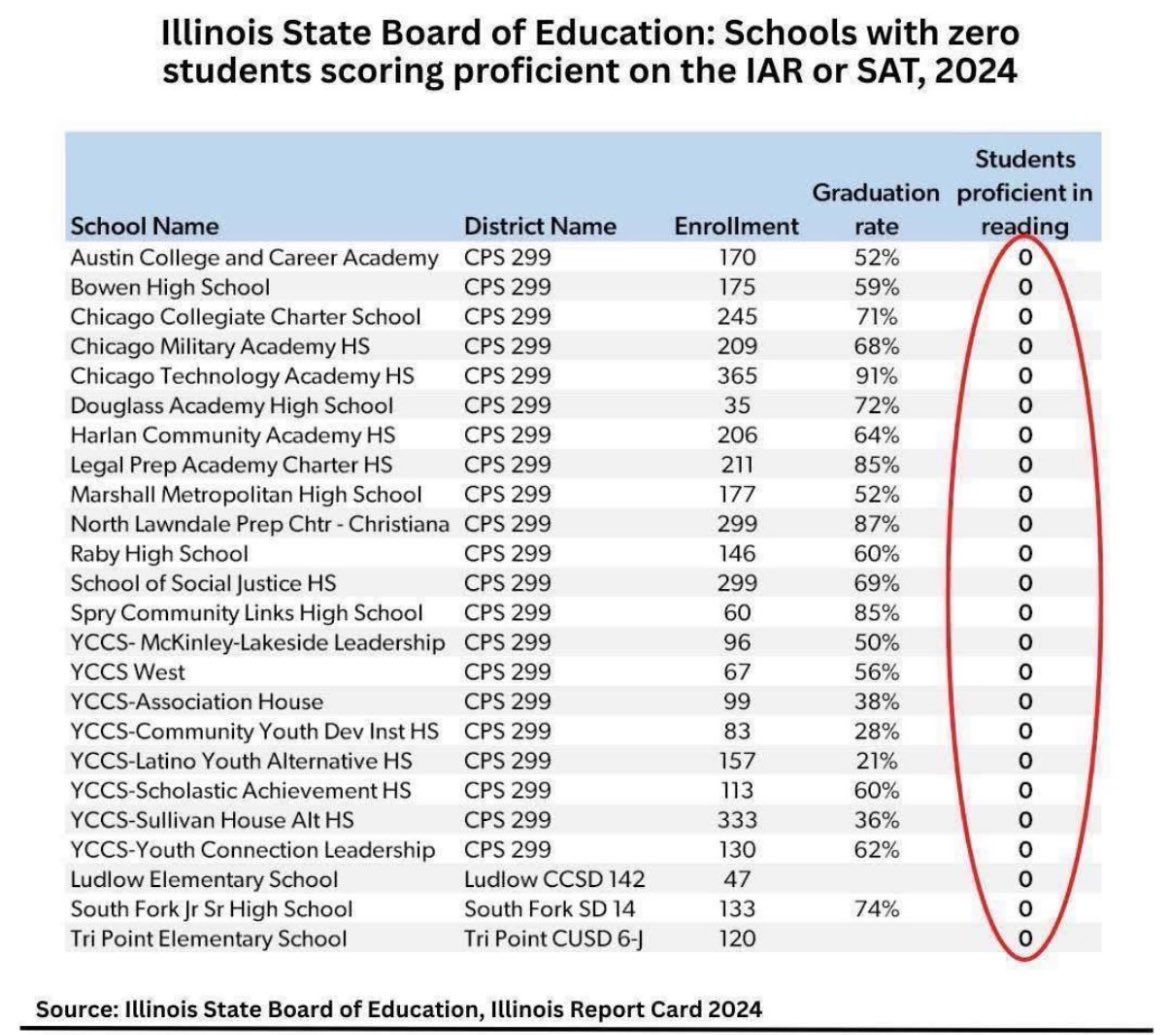 Illinois has 24 schools where not a single child can read at grade level.. 

How tf is that possible..!?