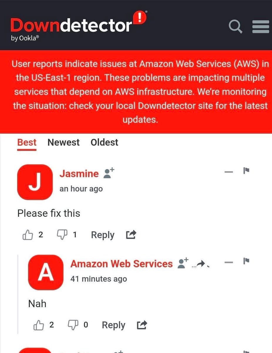 birdabo's tweet image. 