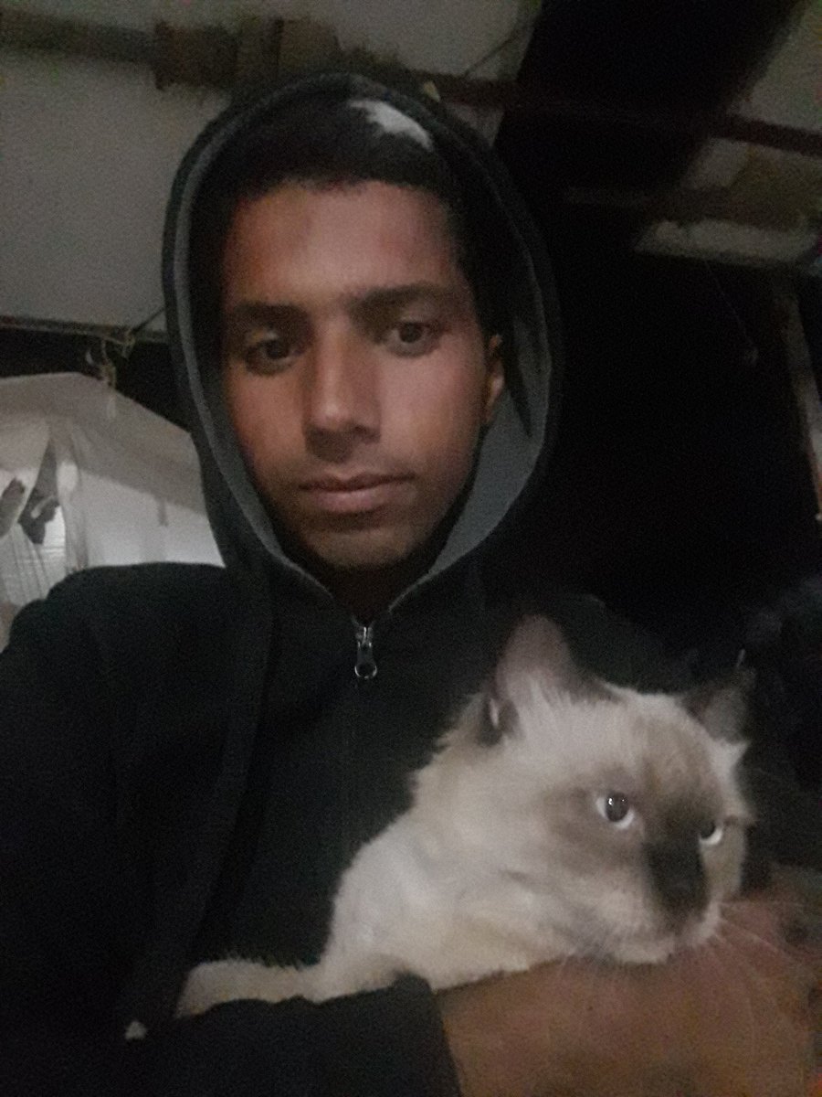 MustafaAmeen30's tweet photo. I feel that my account is freezing.. Sharp interaction decline.. I need a solution..

comment with anything please .. 🇵🇸 https://t.co/rWws3w1W11