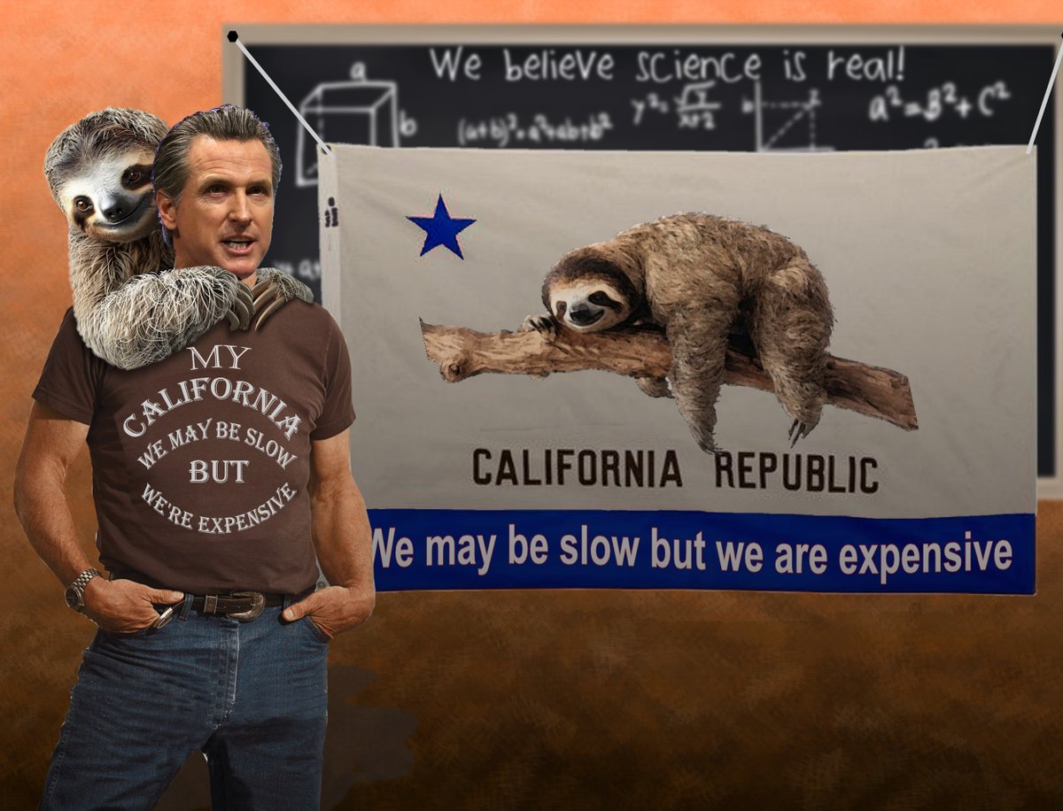 It’s International Sloth Day of Visibility.  Governor Newsom is celebrating by unveiling his new updated design for the California State Flag and the new State Slogan.
