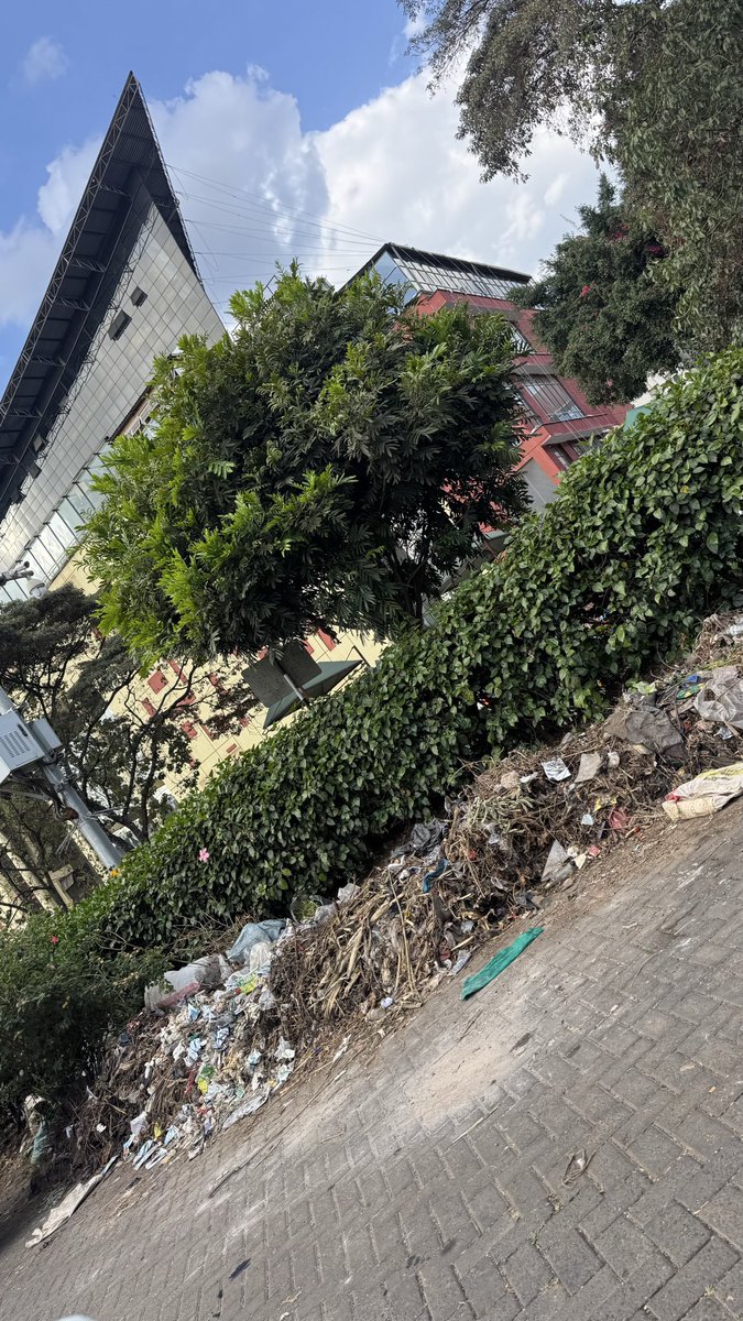 cherrrotich's tweet image. In front of Lavington mall. It’s now a stage (bus terminus) and one big dumping site. The dream to #ReclaimNairobi is slowly fading away. This may just be it. @SakajaJohnson @Environment_Ke