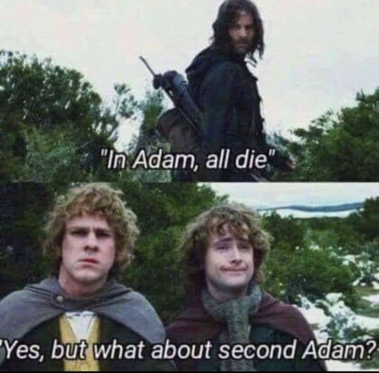 Sometimes I love you, Internet 😂