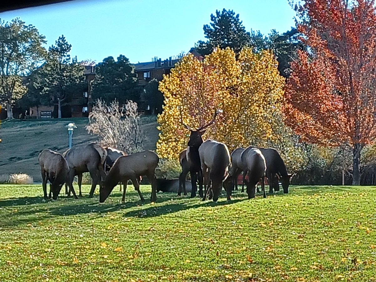 Christina Roberts🎙️Voiceover Artist. tweet media