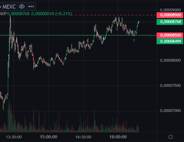 TradingGadget's tweet photo. My $FLOKI position and TP. Just look at that entry https://t.co/tSsP9aVE9k