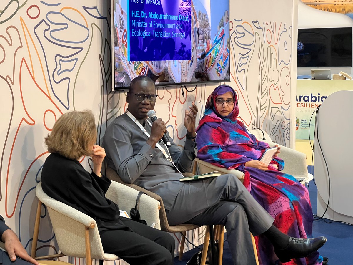 wacaprogram's tweet image. #AbuDhabi pour le #WCC2025, le Ministre sénégalais de l’Environnement M. Abdourahmane Diouf a appelé à une gouvernance durable et inclusive des océans
Le Sénégal accueillera en 2026 #IMPAC6 une première en Afrique!
#BlueEconomy #GouvernanceMarine #WACA_Program #AfriqueOuest