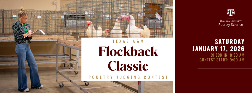 TAMUPOSC's tweet image. 🎉Join us for the first contest of the 2026 judging season! 

🔗Register on JudgingCard - tx.ag/FlockbacClassi…

Any questions can be directed to Brett Meisinger - brett.meisinger@ag.tamu.edu
