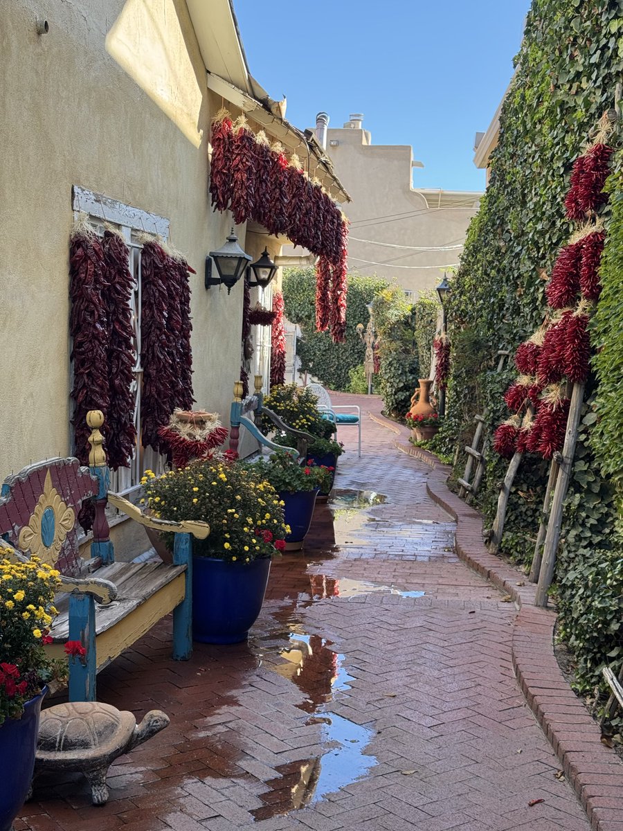 Ben Kutsyuruba 🇨🇦🇺🇦 tweet media