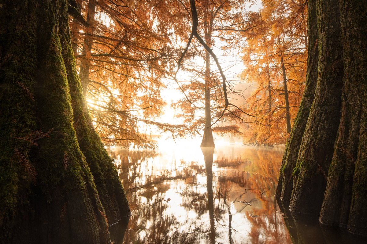 GM 
no matter if you're not selling pieces, like me, we still create Art