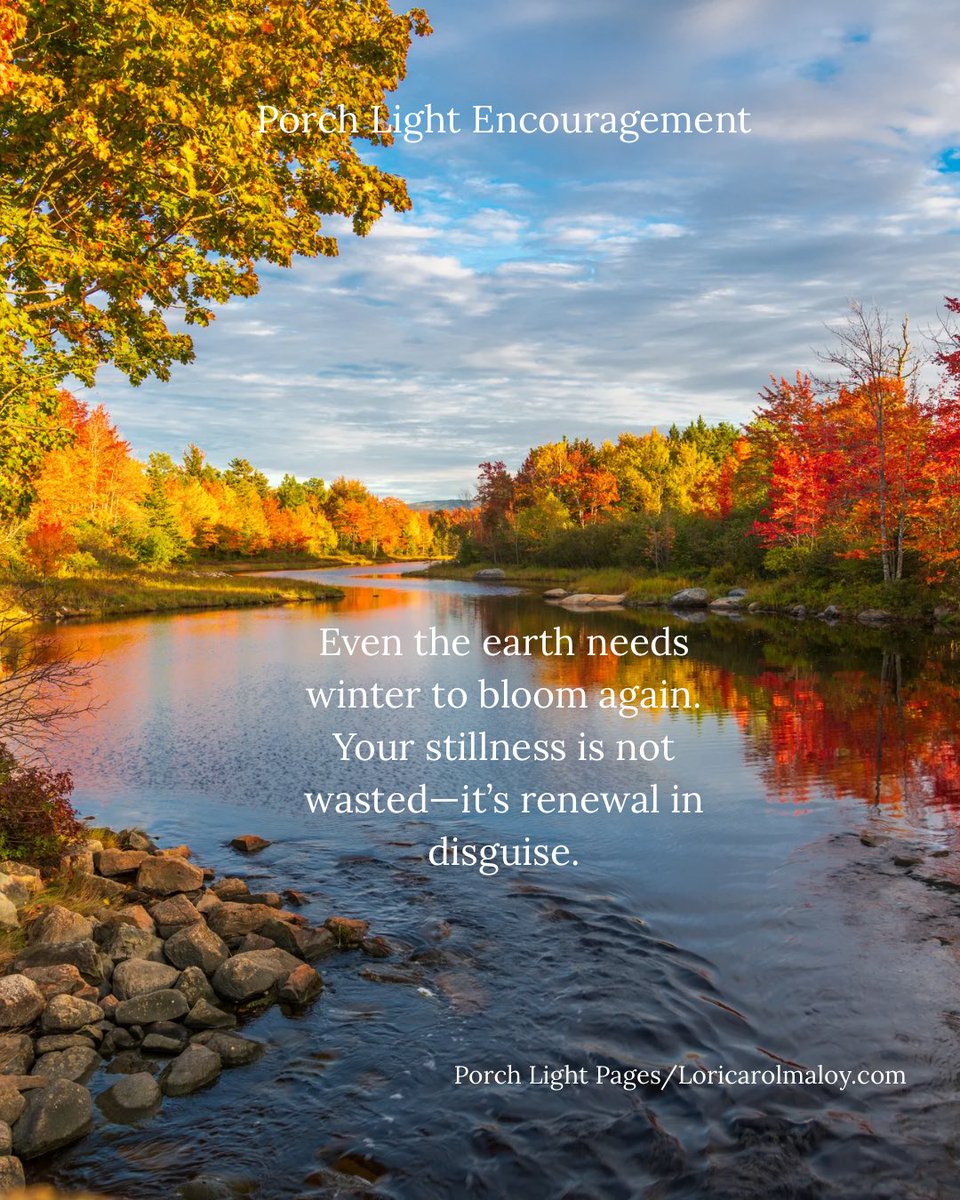 Loricarolmaloy's tweet image. Even the earth rests before it blooms again. 🍂
Your stillness isn’t wasted—it’s renewal in disguise.
Slow down. Let peace find you.

#PorchLightPages #HealingThroughRest #SoulCare #SlowLiving #FaithAndRest