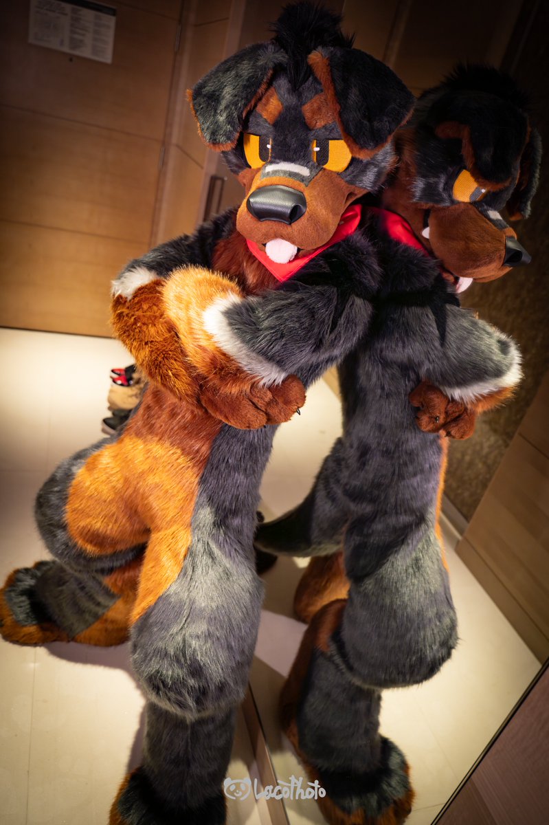 😤🐶✨

📷<a href="/Lacotot/">Laco🐼📷➡️Infurnity2025</a>