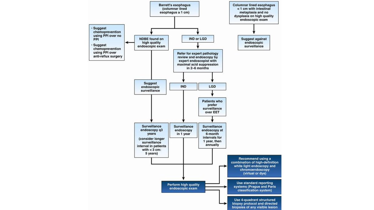 American Gastroenterological Association (AGA) tweet media