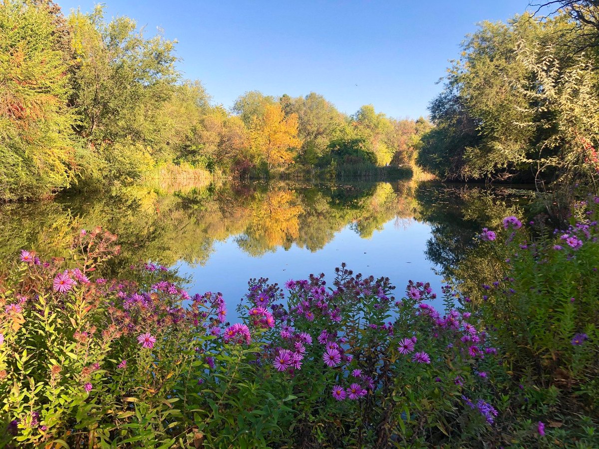 WHAT TO DO IN BOISE THIS WEEK: 
🍂 10/20-10/26: Taste of Downtown Boise
🍂 10/21-10/26: Broadway in Boise: Shucked @ Morrison Center
🍂 10/25: Scarecrow Stroll @ Idaho Botanical Garden
🍂 10/25 &amp; 102/6: Boo at the Zoo @ Zoo Boise
Find more events at visitboise.com/events!