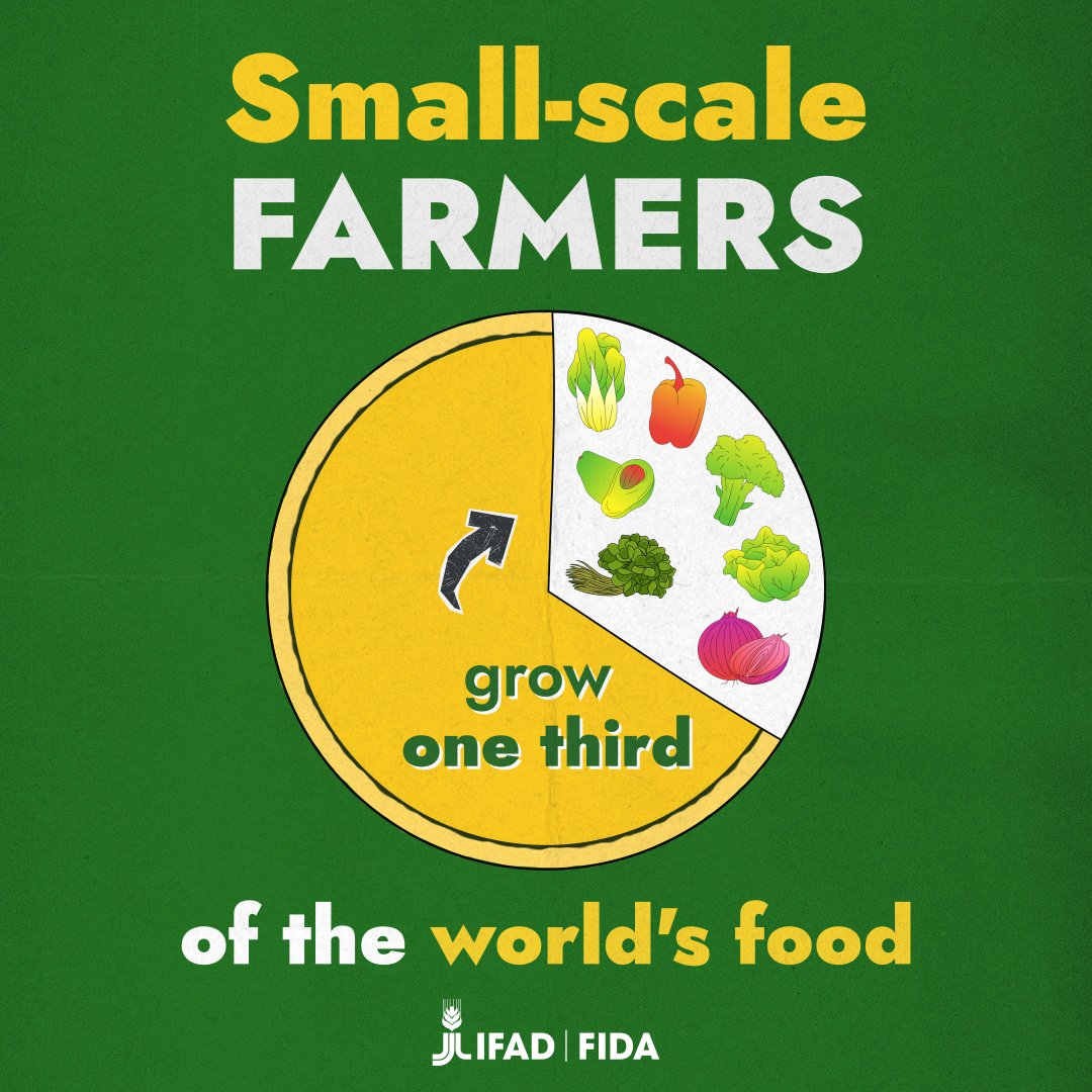 Yet, it is often rural people who go hungry.

With the right support, they can grow more, earn more and eat better. 
Investing in rural people = investing in global food security.