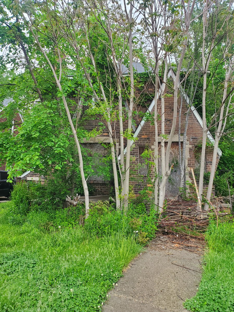 BuildingDet's tweet image. 🏠 Monday Motivation: Another Detroit home brought back to life! 💪✨

From blight to bright — this rehab is proof that every property has potential when someone believes in it. Let’s keep rebuilding, restoring, and reimagining Detroit — one home at a time. 💙 #BuildingDetroit