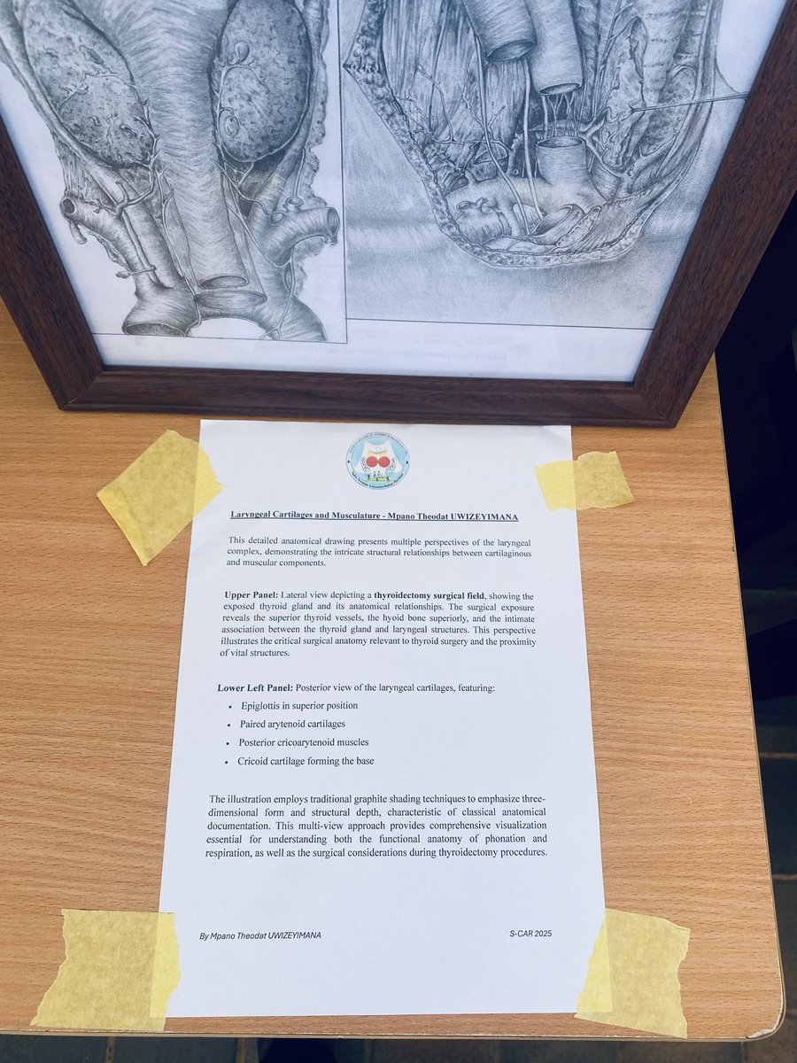 ✨Double Recognition at the 4th S-CAR Anatomy Annual Congress 2025! 

🔬 Abstract Competition - FINALIST  
🎨 Anatomy Artworks Competition - 1ST PLACE WINNER
=> Grateful for my coauthors,, mentors, and colleagues for their support! 

#Anatomy #UR #AACR2025

<a href="/Anatomy_rwanda/">Society of Clinical Anatomy of Rwanda</a>