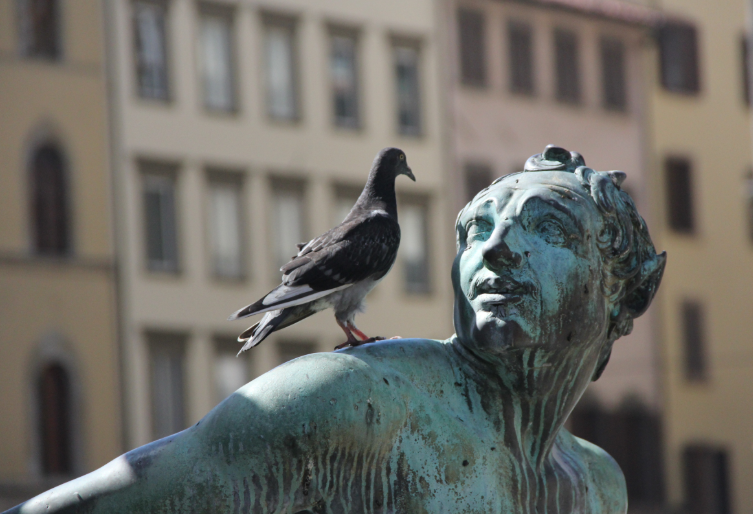 Did Trump Force Zelensky to Back Down? - Kallas can say the EU and Ukraine will reject any deal Trump does with Putin, so her bloodthirsty coniving needs to be circumvented. By demanding that the Minsk Agreement be honored, she cannot say this is Trump, and they had no say.