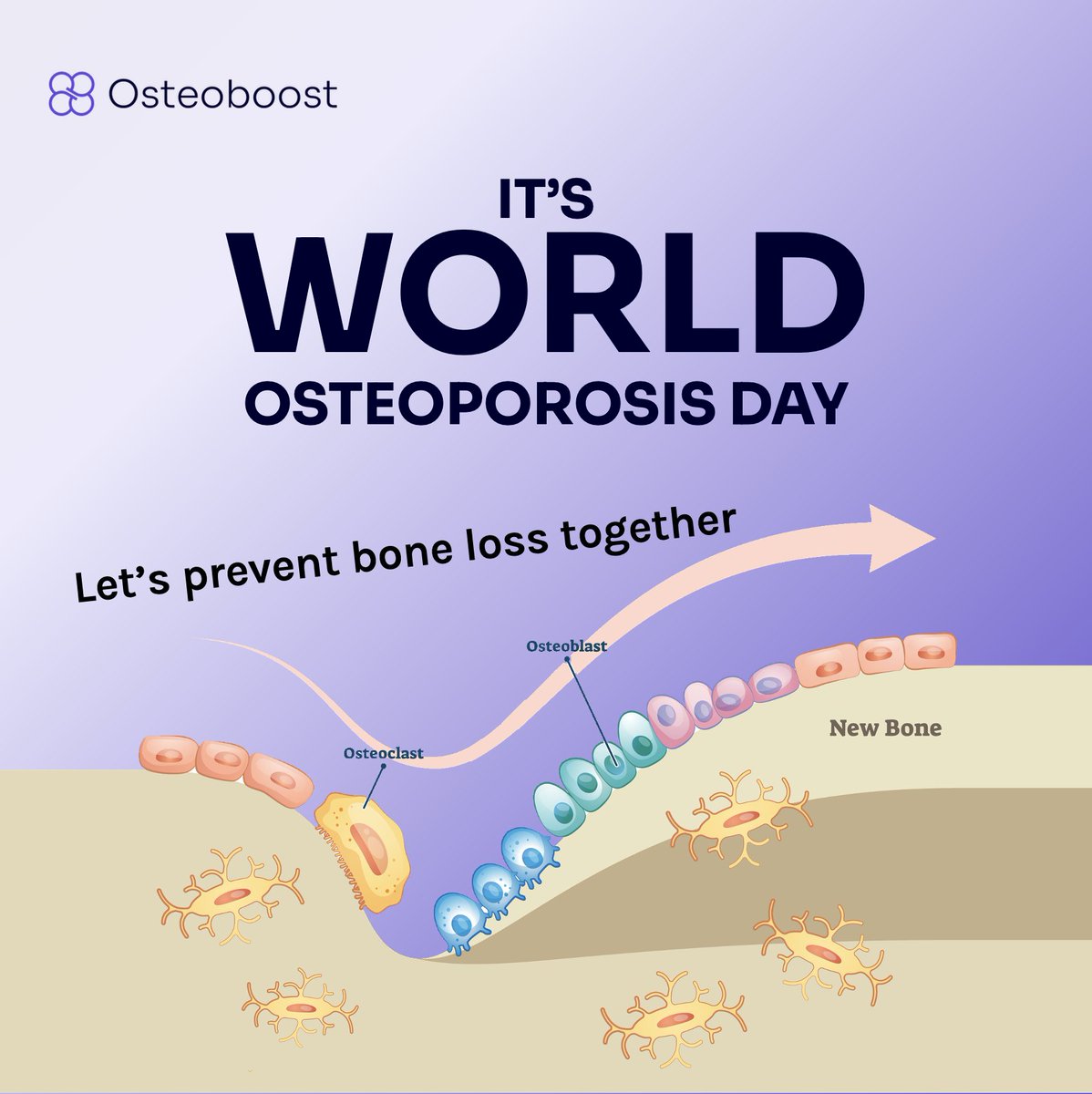 Osteoporosis affects 200M+ people around the world. Mostly women. Far more have early-stage bone loss (osteopenia). This #WorldOsteoporosisDay, let’s turn awareness into action, and prevention into a priority. 
￼
💪osteoboost.com/blog/world-ost… 

#osteporosis #osteopenia #womenshealth