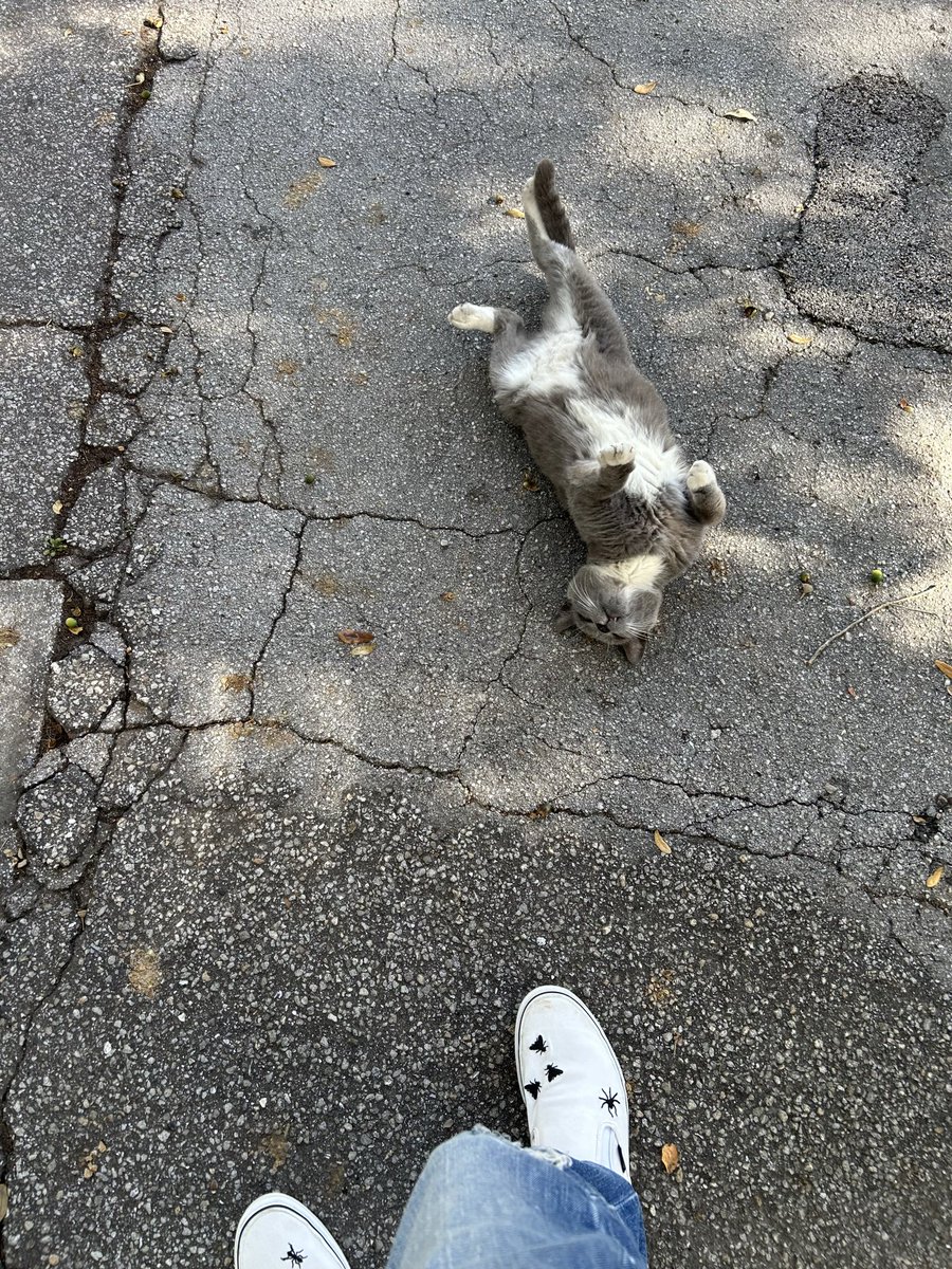 b (@neverpassed) on Twitter photo 