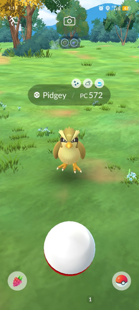 Hedilberto tweet media