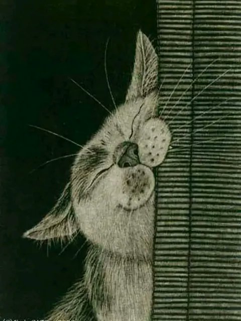 Satō Emi (born 1973) Happiness, 2006.