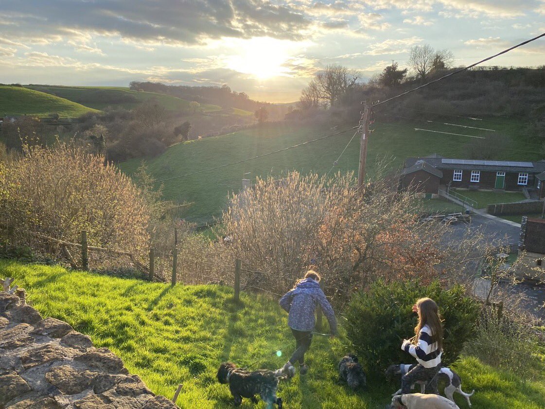 Daniel Rix tweet media