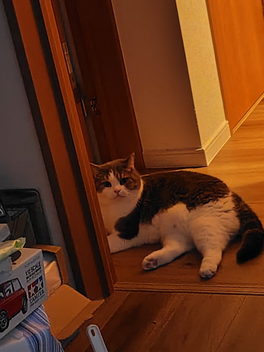 はちみつレモン on X